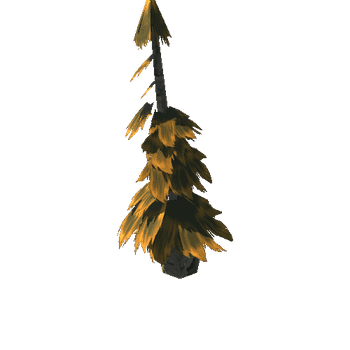 Pine 6 - Brown